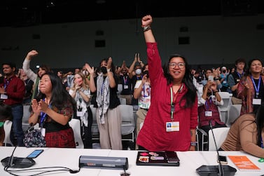 Activists including those from the Asia Pacific Forum on Women, Law and Development rise to demand a ceasefire in Gaza during the People's Plenary at Cop28. Getty Images