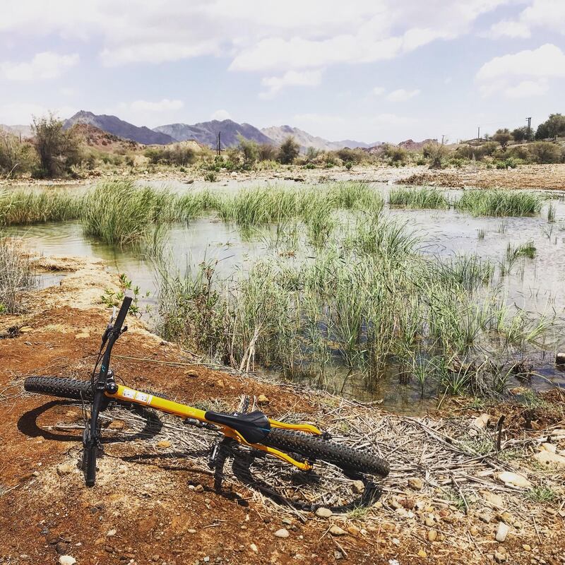 Mountain biking in Hatta means mountain views and watery grasslands