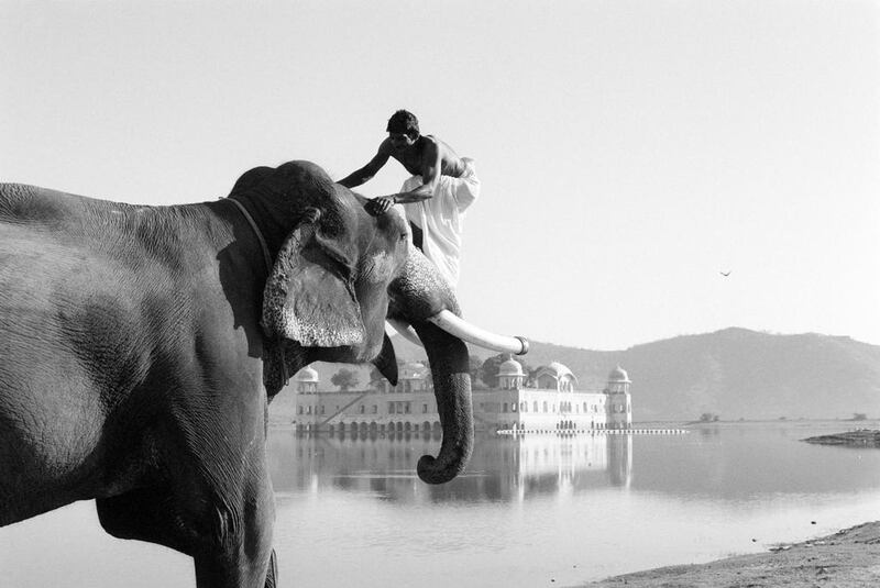 Elephant at Sea is the finest story in Kanishk Tharoor’s debut – the tale of an elephant’s journey from India to a Moroccan palace, sprinkled with drama and humour. Fernando Bengoechea / Beateworks / Corbis