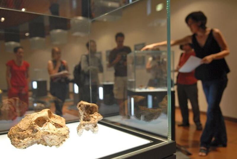 Visitors to the Maropeng centre, north of Johannesburg, view fossils of an ancient hominid species called Paranthropus.