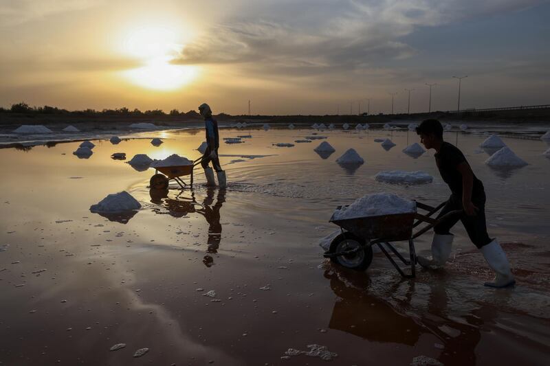 Salt collected near the city of Diwaniyah will be sold in markets for a variety of uses. Reuters