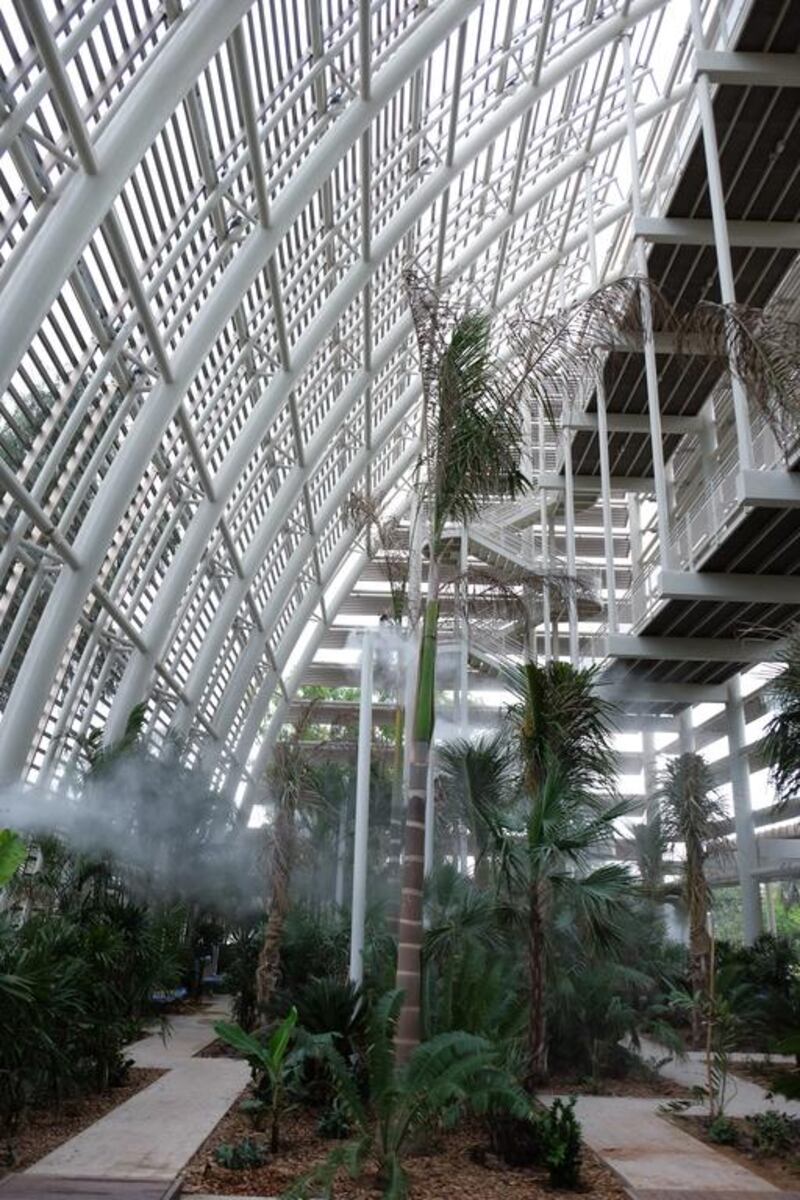 The park’s 28-metre tall shade house is an open air structure that shelters tender tropical plants and palms. Delores Johnson / The National