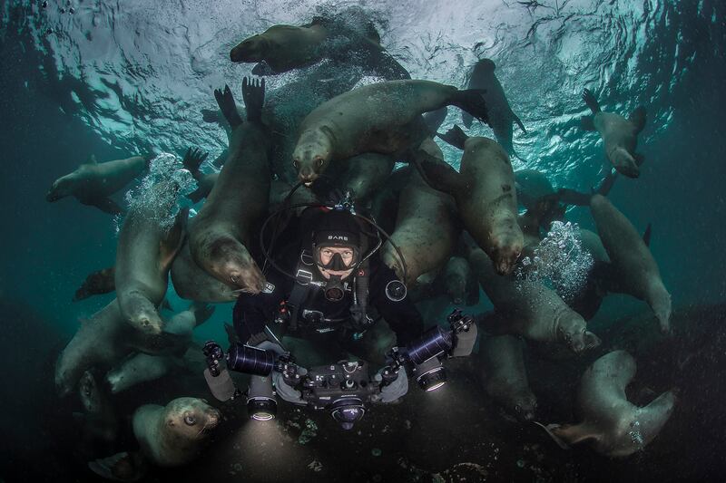 Nominee in Adventure Photographer of the Year, Steve Woods: Sea lions swarm a diver off Vancouver Island, Canada