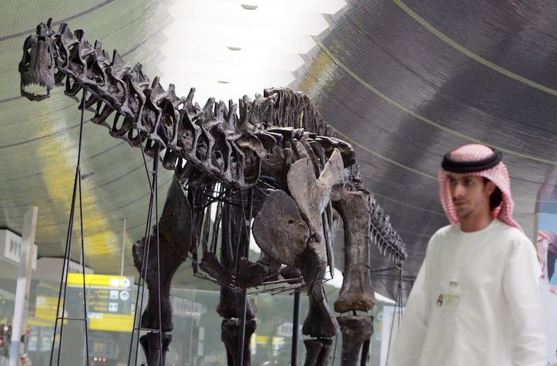 An Emirati man walks past the 140-million-year-old dinosaur put on display at Abu Dhabi international airport on August 11, 2008. AFP Photo / Karim Sahib