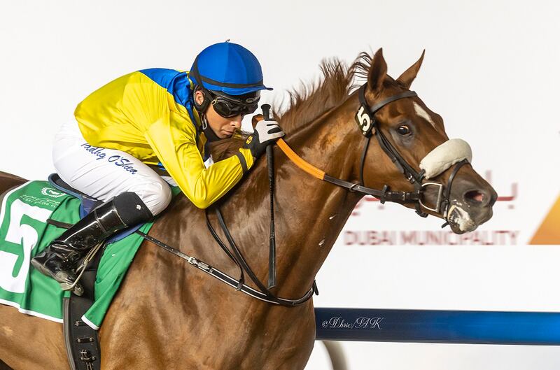 Tadhg O’Shea steers Kafoo to victory at Meydan on Thursday, November 18, 2021. ERA