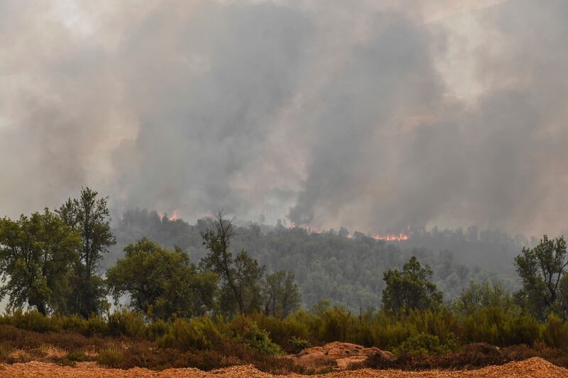 Trees burn during a forest blaze caused by extreme temperatures in Larache, northern Morocco. AP