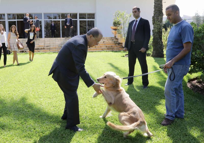 Lebanese President Michel Aoun (C) plays with a dog in the garden of the Baabda presidential palace on August 29, 2017, after signing the country's first animal welfare bill into law in the presence of representatives from welfare group Animals Lebanon who have being lobbying for the new measures.  
The law outlines requirements for the private keeping of animals, regulations for zoos and pet shops, and penalties for violations -- including jail time and fines. / AFP PHOTO / ANWAR AMRO / Lebanon OUT