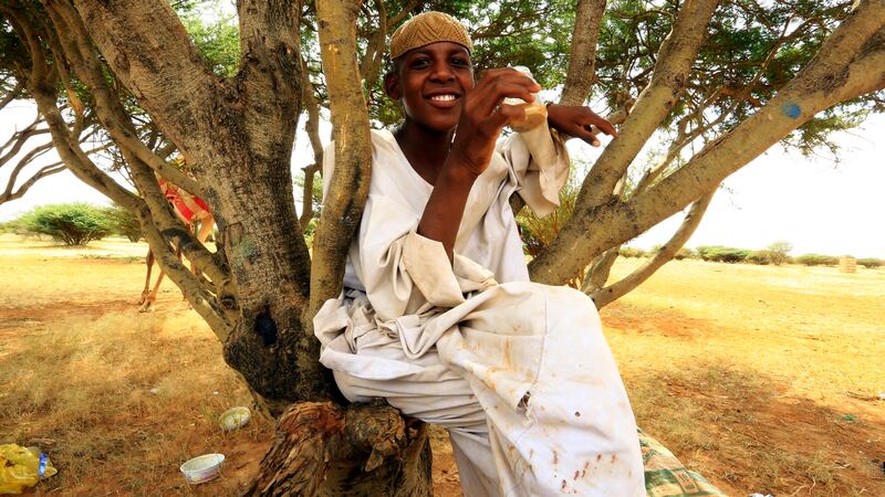 A staff member drinks tea in a tree on a break from the gruelling training sessions.