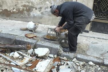 A man, completely unconnected to the book, gives food to cats in the al-Khalidiya neighbourhood of Homs. Reuters / Yazan Homsy 