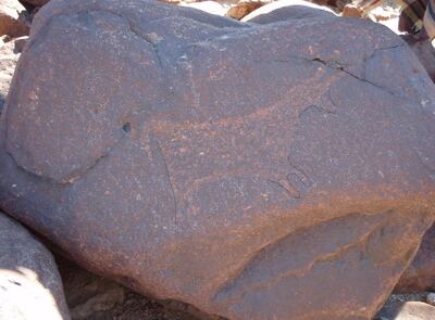 A petroglyph depicting an animal in Fujairah. Wam