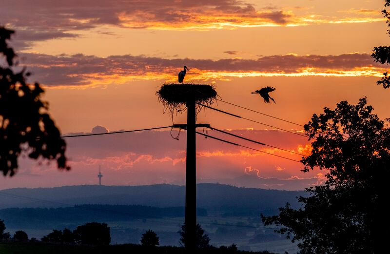 A stork takes off from its nest in New Anspach near Frankfurt at sunrise. AP Photo