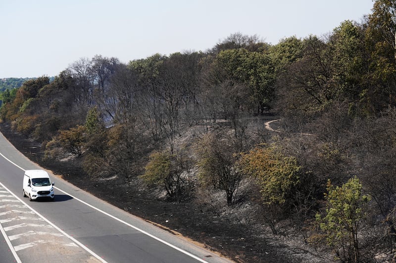 Burnt woodland alongside a motorway near Dartford Heath. Getty 