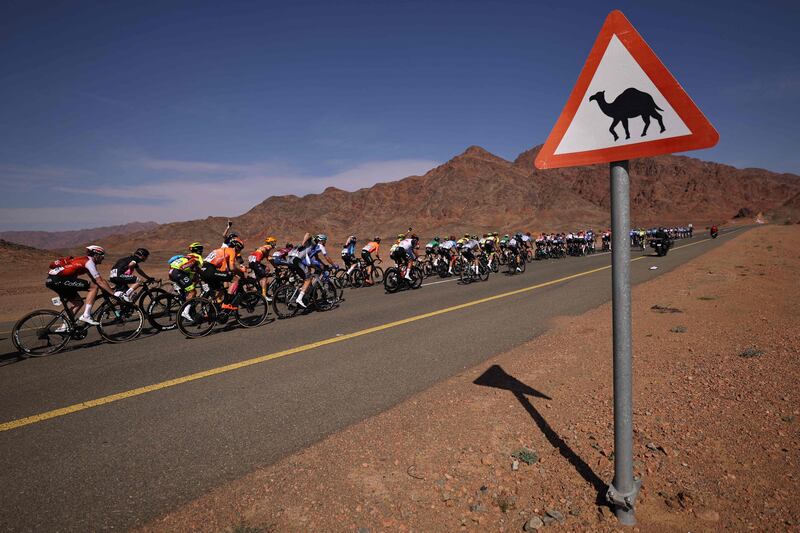 Cyclists take part in the first stage of the 2023 Saudi Tour, from AlUla International Airport to Khaybar. AFP