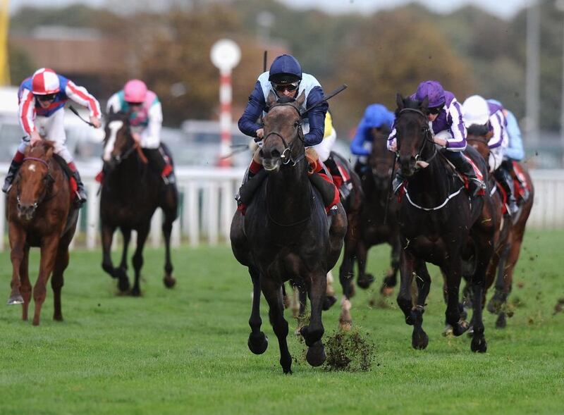 Andrea Atzeni guided Kingston Hill, centre, to a win in the Racing Post Trophy. Near the back of the field were Mickael Barzalona and Pinzolo in 10th. Tony Marshall / Getty Images