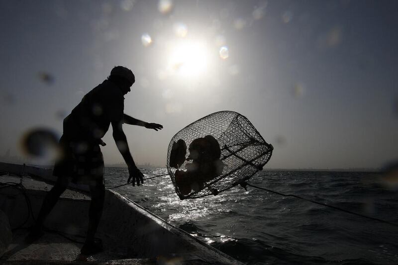 A local fisherman throws a fishing net into the sea in Dubai. Pawan Singh / The National