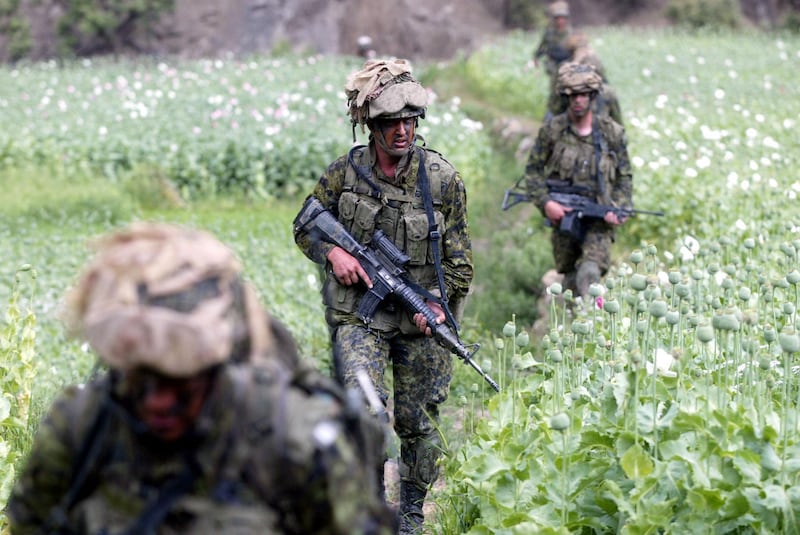 405020 36: Members of the Princess Patricia's Canadian Light Infantry patrol through poppy fields in the village of Markhanai May 6, 2002 in the Tora Bora valley region of Afghanistan. The Canadian Operation Torii is being conducted to destroy underground facilities in the mountainous eastern Afghanistan in order to deny al-Qaida access to the area. Canadian troops and U.S. forensic experts returned from the former al-Qaida stronghold with DNA samples they hope will identify some of those killed there by U.S. bombs late last year. (Photo by Joe Raedle/Getty Images)