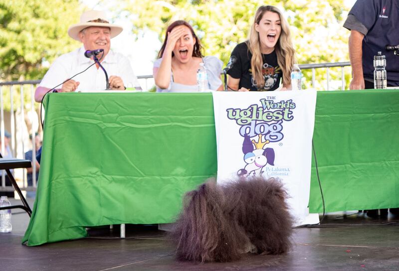 Judges react as Wild Thang struts his stuff.  AFP