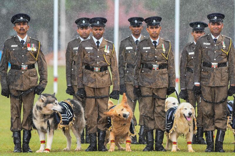 Canines on paw patrol as part of Sri Lanka Police Day celebrations in Colombo. AFP