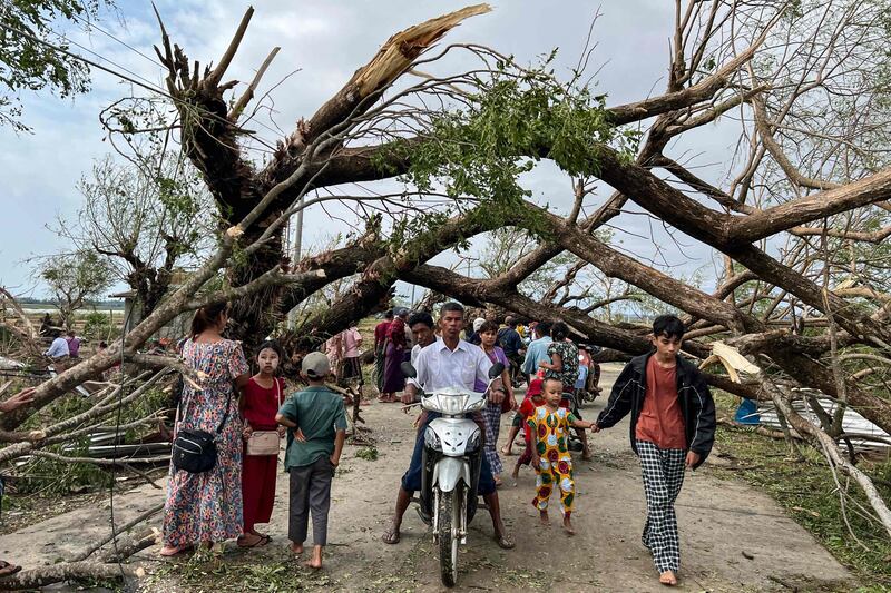 Fallen trees in Kyauktaw in Myanmar's Rakhine state. AFP