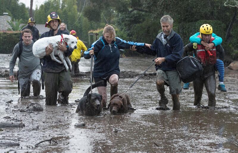 Emergency personnel evacuate local residents and their dogs through flooded waters after a mudslide in Montecito, California. Kenneth Song / Santa Barbara News-Press via Reuters