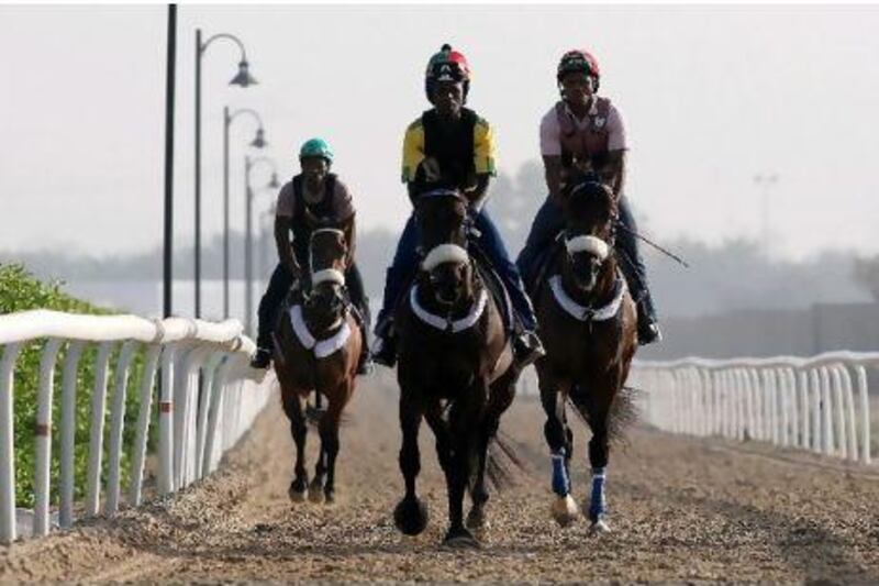 Not just the grooming but the stable hands, Kaya Mdebengu, Ernest Jalybani and Ayanda Tshukwa, give the horses their share of physical exercise in the morning.