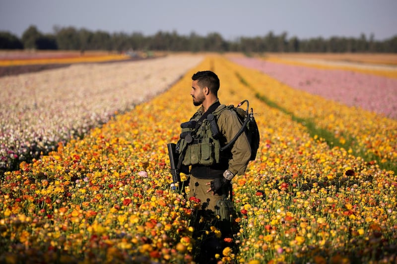 An Israeli soldier walks in a field of buttercups near Nir Yitzhak kibbutz in southern Israel, near the border with Gaza. Reuters
