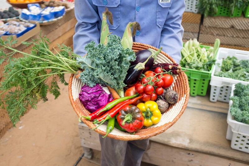 ABU DHABI, UNITED ARAB EMIRATES, APR 30, 2016.  Fresh and organic produce from the Integrated Green Resources (IGR) farm in Al Rahba. Photo: Reem Mohammed/ The National (Reporter:  Jessica Hill / Section: AL) ID 83553 *** Local Caption ***  RM_20160430_IGRFARM_19.JPG