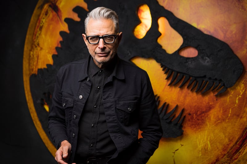 Jeff Goldblum was a fan favourite in the 1990s films. Photo: Invision / AP
