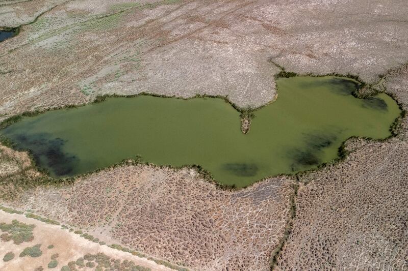 The drying marshes of Chibayish, Dhi Qar governorate, in an aerial photo taken on June 24. AFP