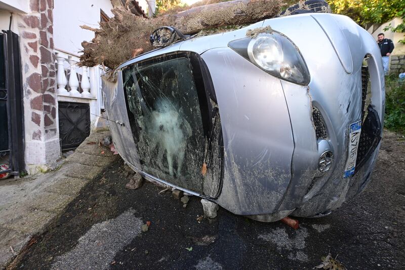 A dog guards a car's compartment after a massive avalanche of mud and debris hit the town of Casamicciola Terme in Italy following intense rain. EPA

