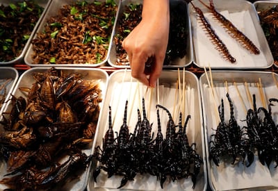 epa07164225 (12/58) A vendor arranges fried insects on her street food cart on Khao San road, in Bangkok, Thailand, 18 October 2018. The street food in Khaosan road is the house of many kinds of food but the most popular are fresh fruits, fried insects and Pad Thai. Fried insects attract the attention of tourists from all over the world. Bugs have been on the menu in Thailand for ages but a few years ago have they migrated from the forests to commercial farms and factories. The most popular method of preparation is to deep-fry crickets in oil and then sprinkle them with lemongrass slivers and chilis. They are crunchy and taste like fried shrimp.  'Pad Thai' is a stir-fried rice noodle dish commonly served as a street food and at most restaurants in Thailand.  EPA/NARONG SANGNAK  ATTENTION: For the full PHOTO ESSAY text please see Advisory Notice epa07164213