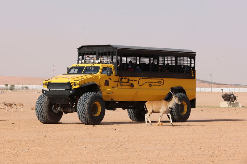 Visitors view animals from inside a vehicle during their visit to Riyadh Safari.