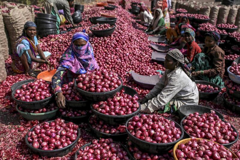 Workers sort onions at a wholesale market in Lasalgaon, Maharshtra, India. Bloomberg