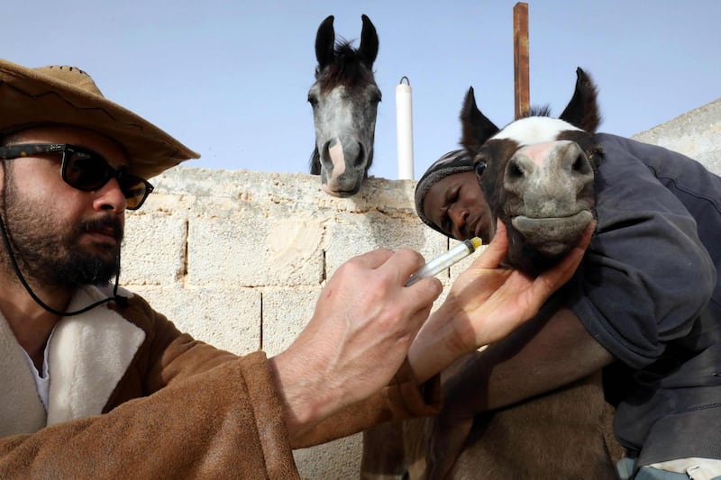 A well-trained horse with a good lineage can cost about $160,000, according to experts. AFP