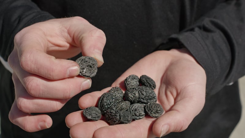 Carbo Culture uses bio-char generated from dust pellets and waste wood to lock in carbon. Photo: Carbo Culture