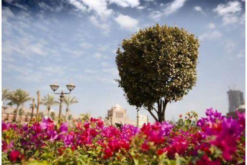 Despite being in the middle of a desert, Abu Dhabi has managed to turn much of itself green. Above, the front grounds of Emirates Palace.