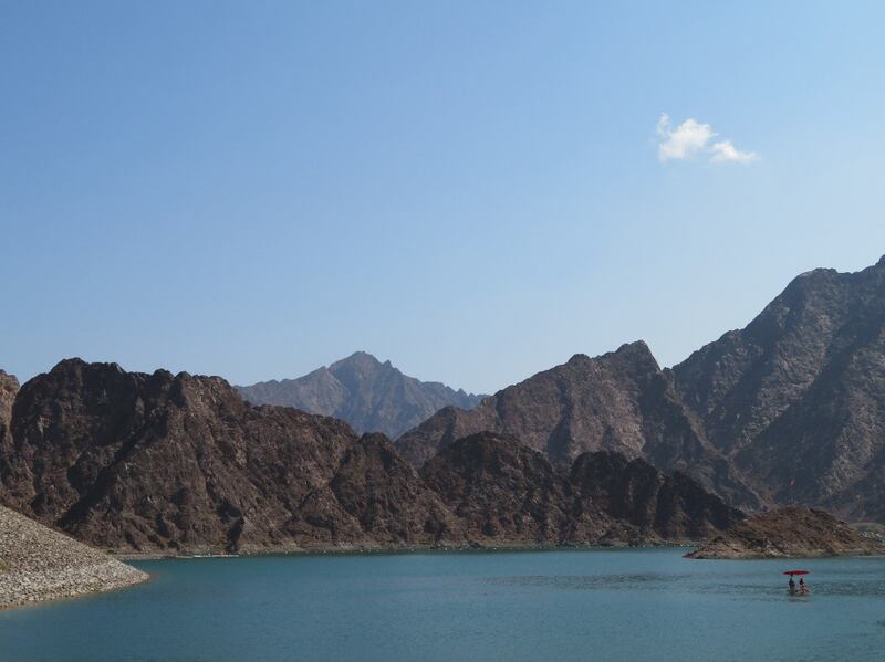 Researchers scoured bodies of water across the Emirates to uncover the tiny creature. Photo: Prof Waleed Hamza

