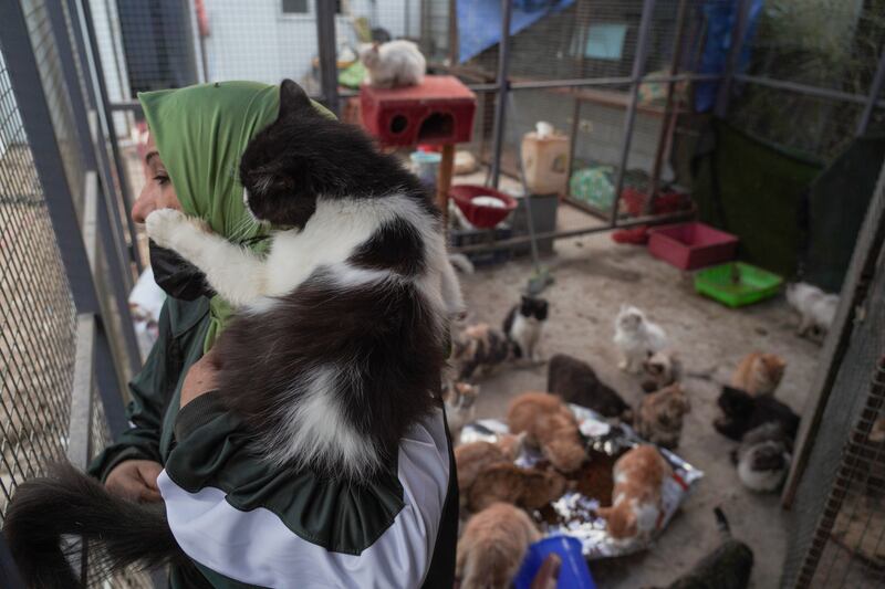 Umm Aboodi, who is a widow, and her son run the shelter.