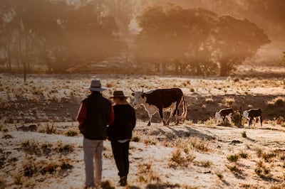 Spending New Year on a farm was the most popular 'unique stay' on Airbnb this new year. Photo: Airbnb