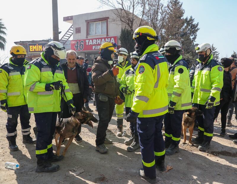 The teams are using sniffer dogs in the hope of finding survivors and working in shifts throughout the day