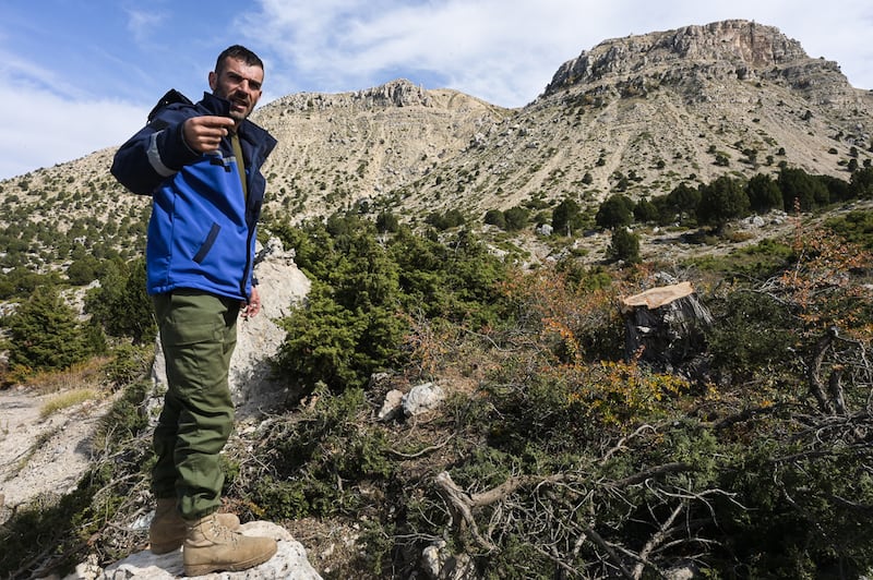 Abdelhakim Assayed of the Fneidek municipal police gestures as he looks at the exposed trunk of a recently felled tree. Photo: Finbar Anderson / The National
