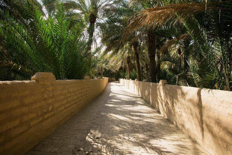 Al Ain Oasis. Courtesy CCI