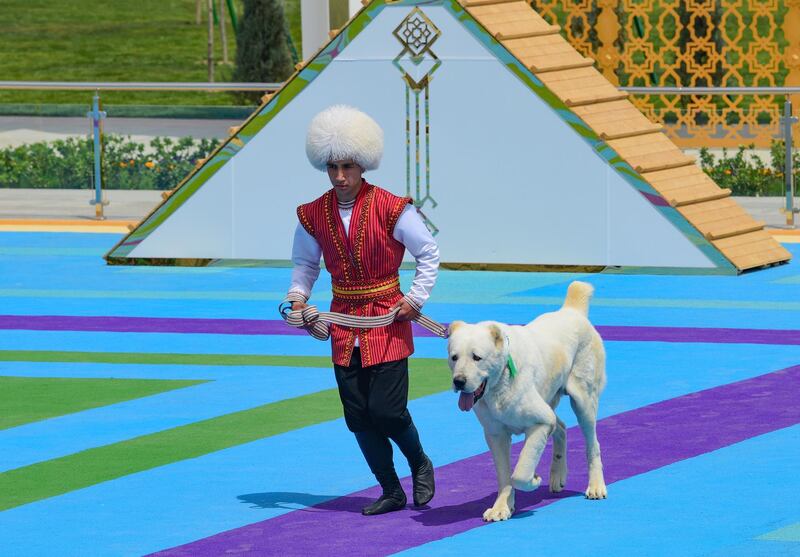 A man dressed in a national costume runs with his border guard shepherd dog Alabai during the dog day celebration in Ashgabat, Turkmenistan. The Central Asian nation of Turkmenistan has celebrated its new state holiday honouring the native dog breed. AP Photo