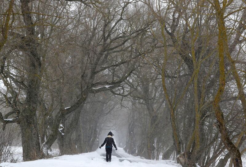 A woman braves the wind driven snow in an avenue on the outskirts of Minsk, Belarus. Sergei Grits / AP Photo