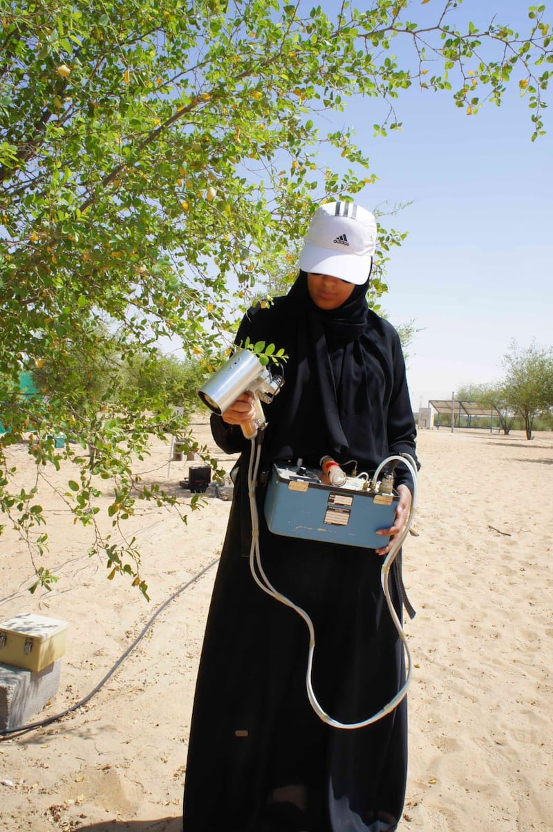 Dr Al Yamani taking measurements in the field in Al Dhafra Region. 