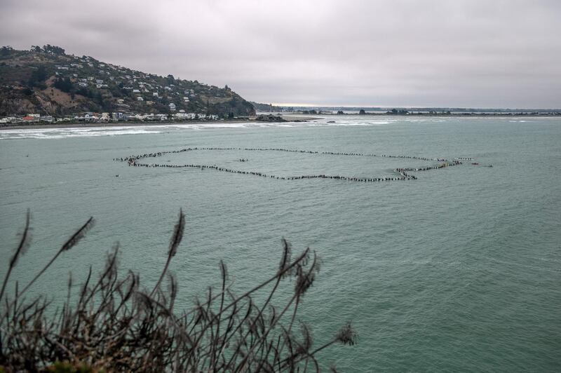 Surfers form a circle at sea to remember victims of the Christchurch mosque attacks, on March 23, 2019 in Christchurch, New Zealand. Getty Images