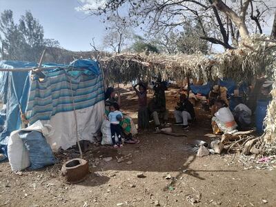 People displaced by fighting in Ethiopia's Tigray region live in temporary shelters in the town of Shire. Photo: Zecharias Zelalem