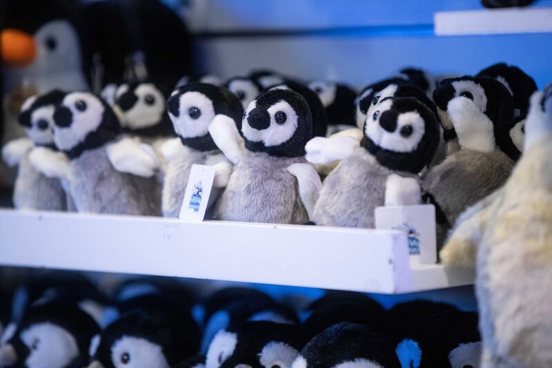 Ski Dubai also runs a 'penguin march' presentation four times a day for guests 