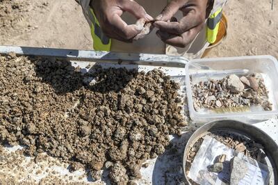 AL AIN, UNITED ARAB EMIRATES. 19 November 2017. Tour of the historically important archaeological site in Hili, Al Ain. Workers use a water sifting method to seperate artifacts from the excavated soil. These artifacts could in turn lead to new discoveries about the history of the site. (Photo: Antonie Robertson/The National) Journalist: John Dennehy. Section: Weekend.