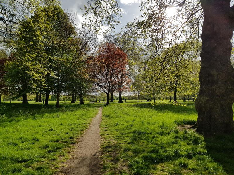 London's Hyde Park. Rosemary Behan